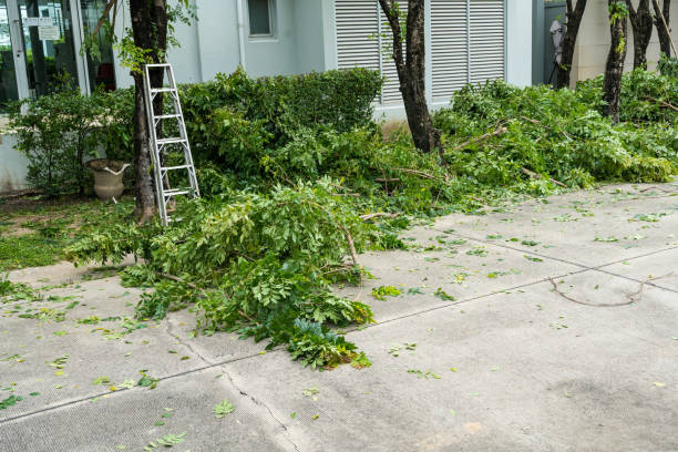 Best Stump Grinding and Removal  in Bartonsville, MD