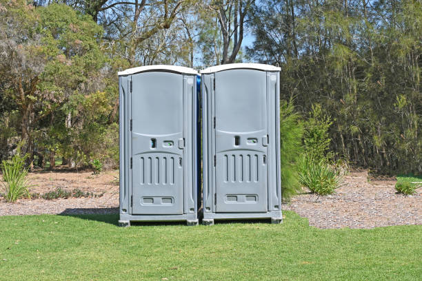 Best Pest Control for Lawns  in Bartonsville, MD